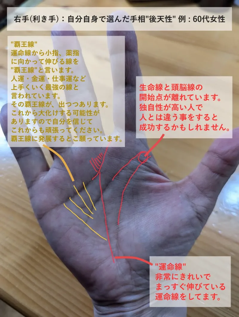 本格プラン : 手相×九星気学鑑定【画像付き】 - 画像 (4)